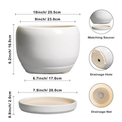 Top view of SQOWL 10 Inch planter showcasing glossy white finish