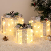 TOWPONICS Set of 3 Christmas Lighted Gift Boxes front view