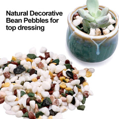 TOYPOPOR 6LB gravel pebbles in a garden planter