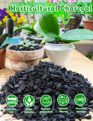 TOYPOPOR Horticultural Charcoal in use with potted plants