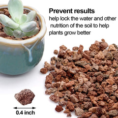 TOYPOPOR Lava Rocks in a planter with succulents