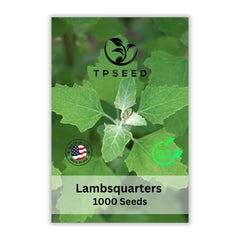TP SEED Lambs Quarters Seeds package front view with 1000 seeds