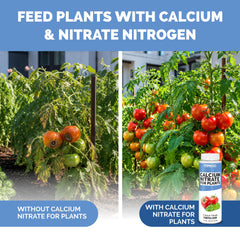 TPS NUTRIENTS Calcium Nitrate Fertilizer 8 oz liquid in use