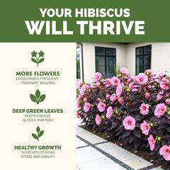 TPS NUTRIENTS Hibiscus Fertilizer bottle side view