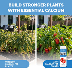 TPS NUTRIENTS Liquid Calcium 8 oz label details