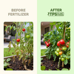 TPS NUTRIENTS Tomato Fertilizer 8 oz bottle with measuring cap