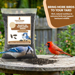 TRAILMARK NATURALS Black Oil Sunflower Seeds packaging back view