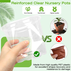 Transparent FUOAUYK nursery pot showing root development