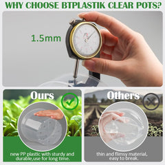 Transparent plastic nursery pots for indoor plants