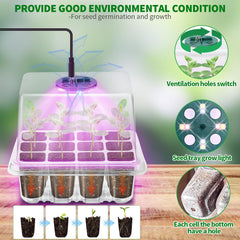 Transparent seed starter tray with LED lights