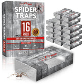 TRAP A PEST Indoor Sticky Spider Trap front view