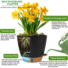 Tray for Fielda self-watering pots showing water level