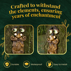 Tree Poetry Tree Faces Decor mounted on a tree trunk