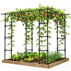 Trellume Grape Vine Trellis front view with climbing plants
