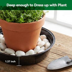 TRUEDAYS 10 Inch black plant saucer with decorative rocks