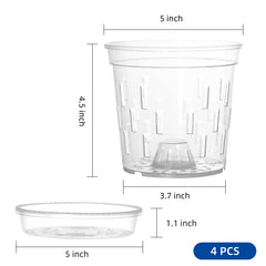 TRUEDAYS Clear Orchid Pot showing drainage holes