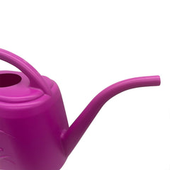 TTAOE GN Watering Can with comfortable handle