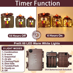 TURNMEON Thanksgiving Lighted Gift Box small size with turkey face