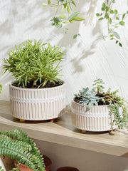 Two LE TAUCI ceramic planters on a windowsill with succulents