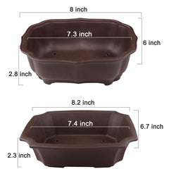Two MUZHI bonsai pots side by side showing purple clay