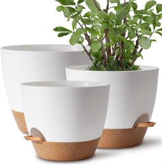 TYMENSH Plant Pots Set of 3 in white, showcasing different sizes