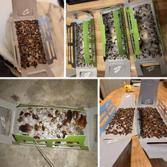 Tysonir Roach Trap showing multiple entry points