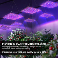 Uallhome LED Grow Light Panel in use with indoor plants