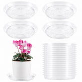 UltraOutlet 10-inch clear plastic plant saucer front view