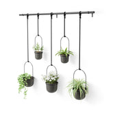 Umbra Triflora Hanging Planter Set of 5 in black, front view