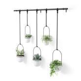 Umbra Triflora Hanging Planter Set of 5 in White and Black