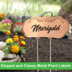 Unique artistic design of TCYPUHL plant label