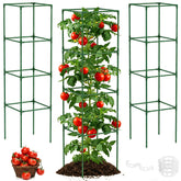 Unves 3 Pack Tomato Cage 16"W x 66"H front view