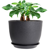 UOUZ 12-inch black plant pot front view with matte finish