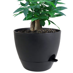 UOUZ 12 inch self watering pot black with removable tray