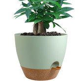 UOUZ 12-inch self watering pot in green with brown accents