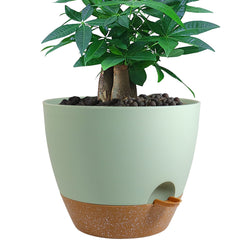 UOUZ 12-inch self watering pot in green with brown accents