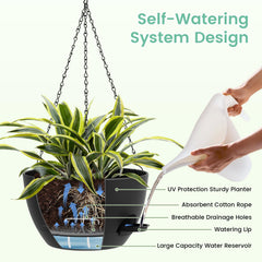 UOUZ black hanging planters displayed with ferns