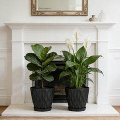 UOUZ black plant pot with waffle texture design, front view