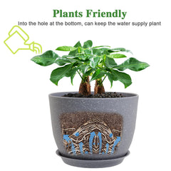 UOUZ plant pot in use with indoor plants