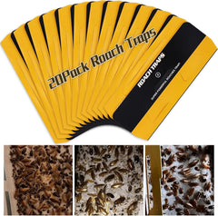 USKICH 20 Pack Roach Traps front view with packaging