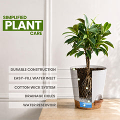 Utopia Home Self Watering Pot 5.9 inches on a windowsill