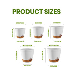 Utopia Home Self Watering Pot 6.4 inches showing drainage holes