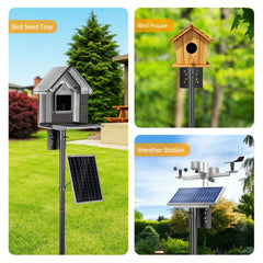 vakiav bird house pole installed in a garden setting