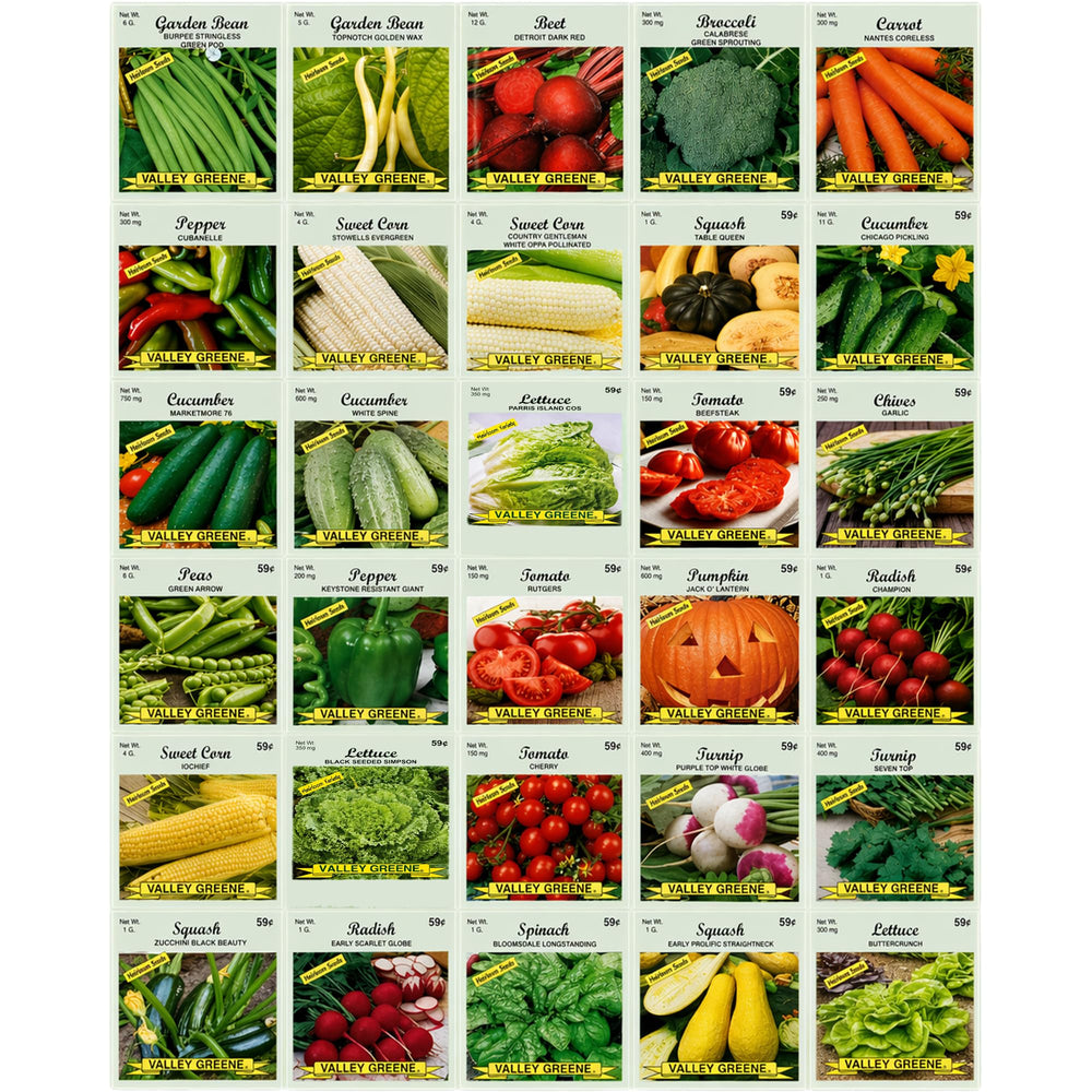 Valley Greene Deluxe Vegetable Garden Seeds pack front view