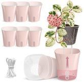 Vandorelle 8 pack self-watering pots in dusty pink, front view