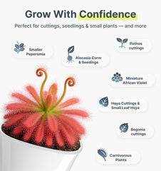 Vandorelle pot with plants showcasing the top refilling design