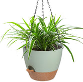 Vanslogreen 12 Inch Self-Watering Hanging Planter in Green