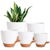 Vanslogreen 5 pack self watering pots in white on display