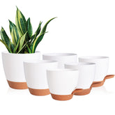 Vanslogreen 6 pack of self-watering flower pots in white