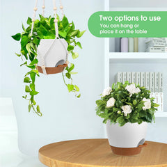 Vanslogreen self-watering hanging planters displayed with various plants